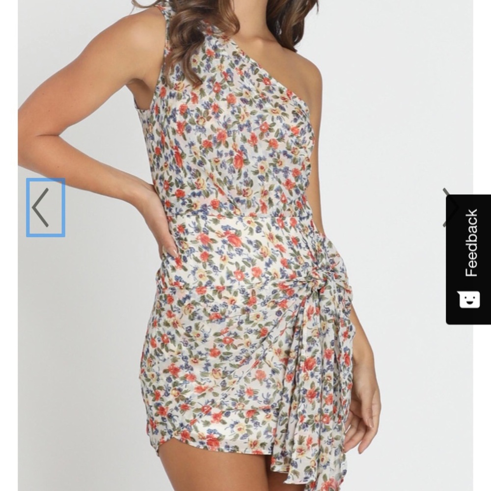 Showpo Two of Us Dress in Multi floral